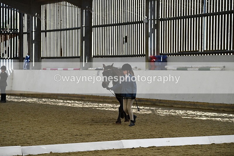 WJ5_4826 - Class 7 In hand coloured / odd coloured