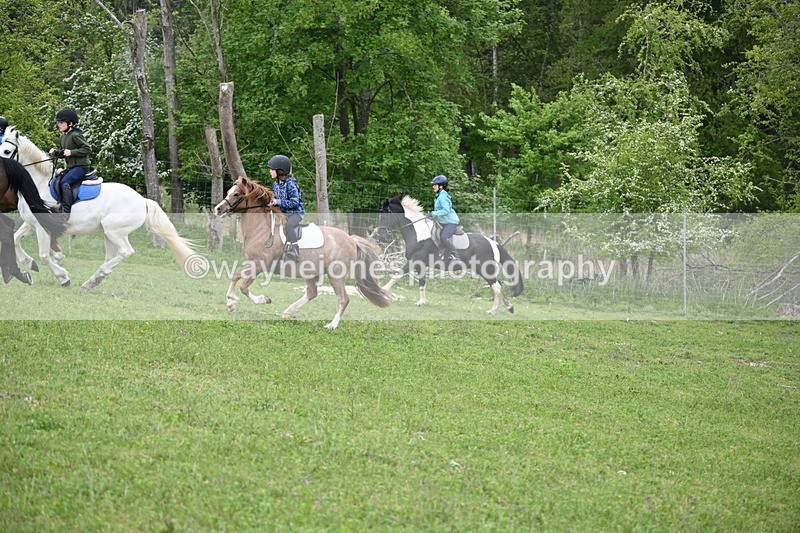 WJ6_3051 - A Camera