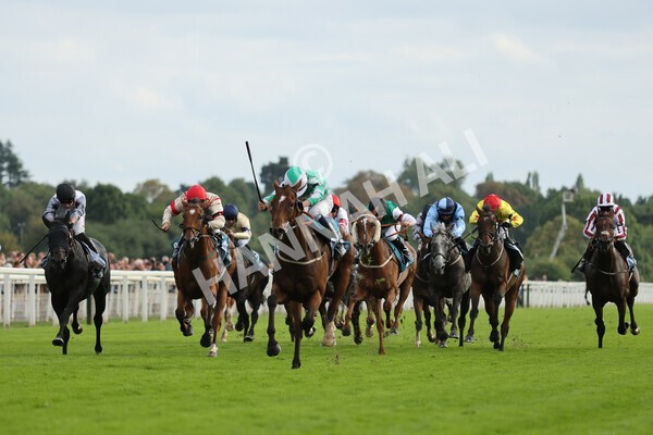 yr04092022r6-27 - Race 6 4.40pm Hanson Springs Stakes