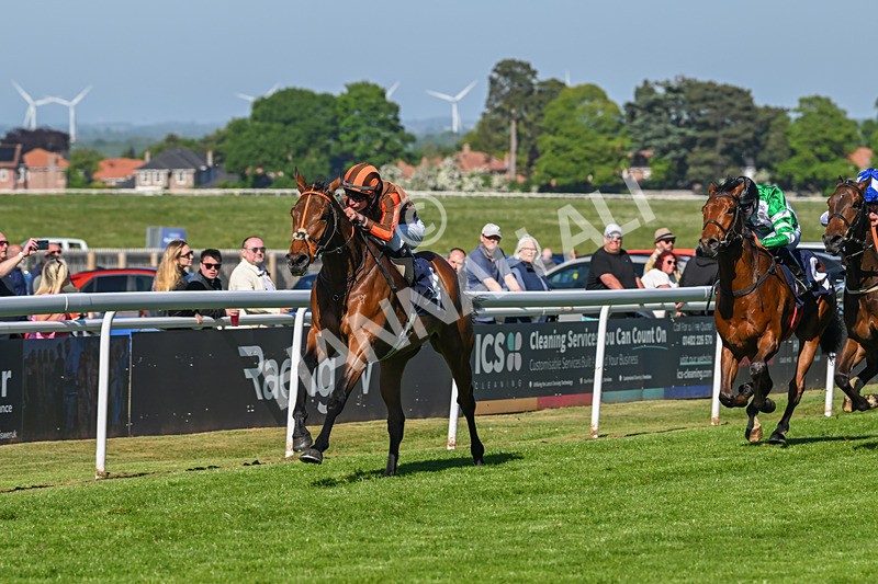 130525-Race 6-Analogical-0416 - Race 6