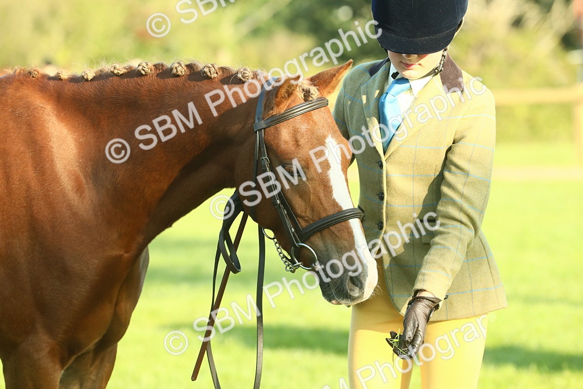 SBM_57489 - S37 - Starters In Hand Showing