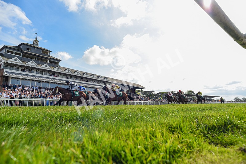 020526-Race 5-Emperor Caradoc-1774 - Race 5 3.55pm Alison And Andrew Richardson Ruby Anniversary Handicap