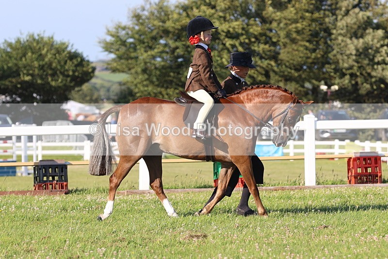 JPP_0712 - Class 16: Cornish Combination Leading Rein
