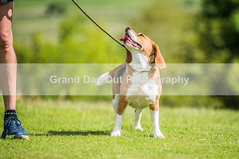 Two Tops-11 - Two Tops Fell Races (Junior & Senior) Saturday 20th May 2023