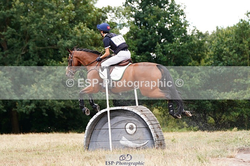 250803A-125118-13143 - N-612-Jeffrey.Wong-OPPOSITION.BOLERO