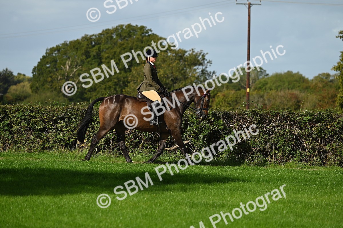 SBM_01283 - S2 - TSR Ridden Horse Showing