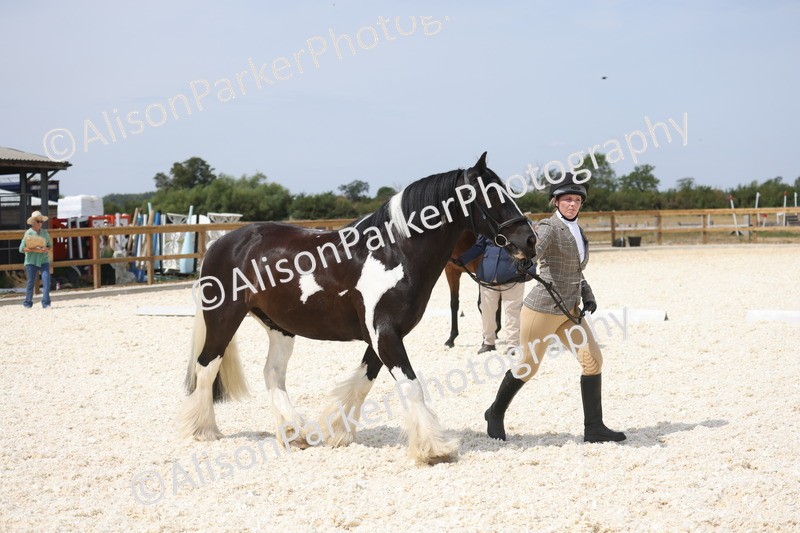 20260802-1507 - Class 16 - Best Horse or Pony