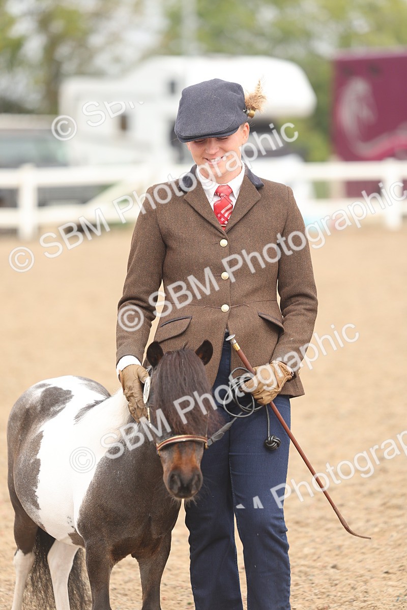 SBM_02102 - Class 15 - IH Coloured