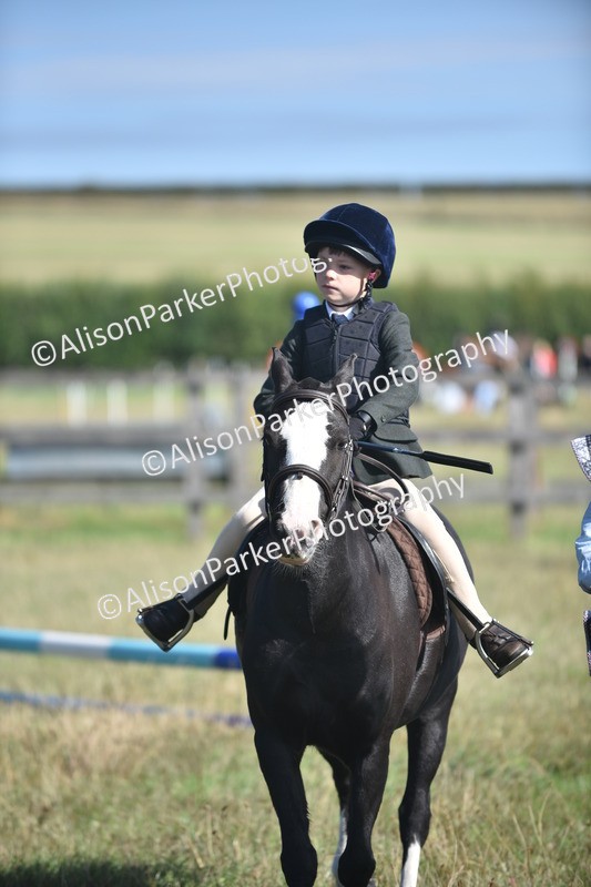 20260906-0978 - Class 7 - Absolute Novice Jumping 35cm