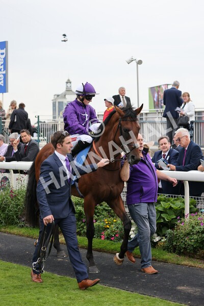 yr19082021r5-3 - Race 5 4.10pm OR8wellness ebfstallions Nursery Handicap