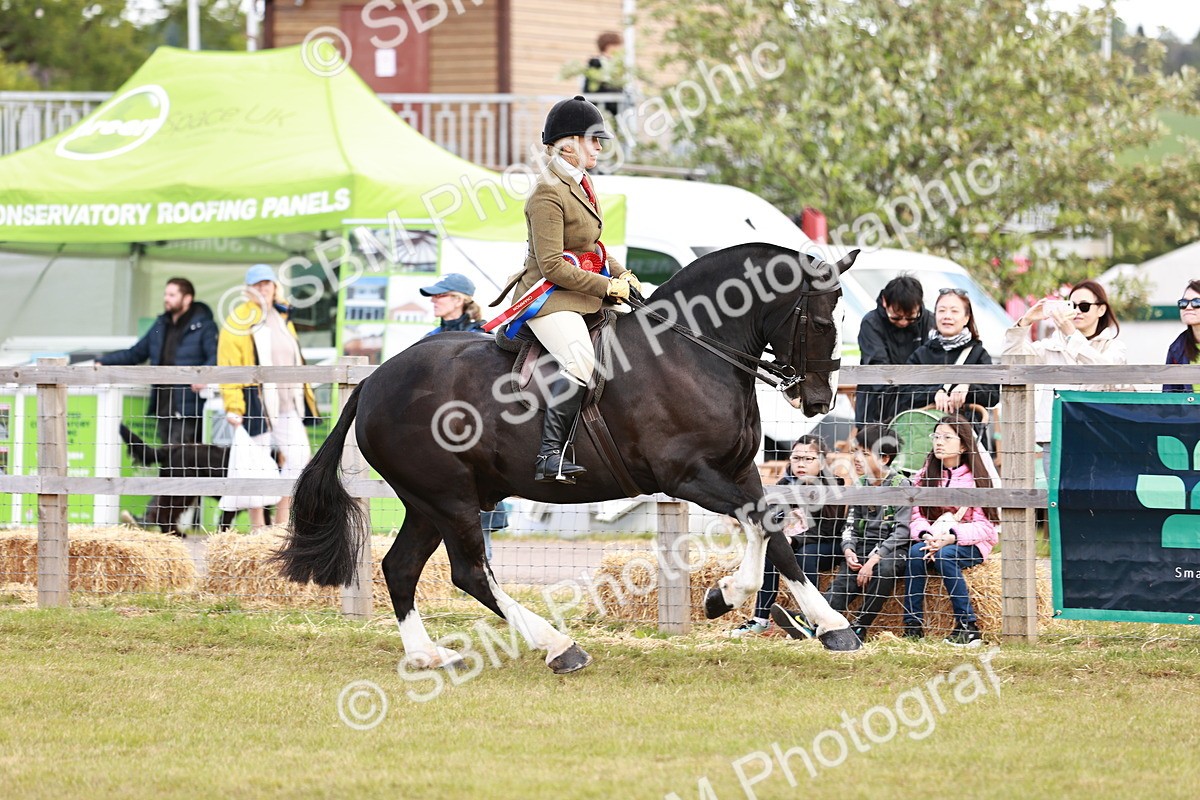 SBM_14117 - Class 85-87 - RIHS Cobs