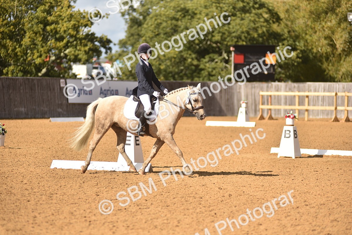SBM_48768 - D22 - Junior Championship Intro 3