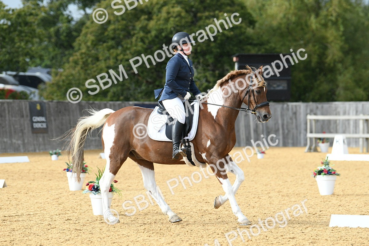 SBM_11070 - D28 Elementary Taster Elementary 42