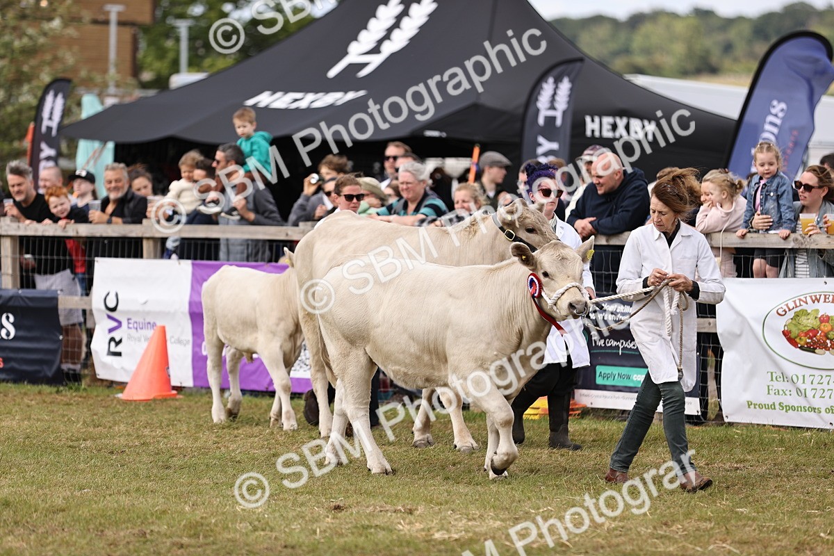 SBM_16905 - Grand Parade