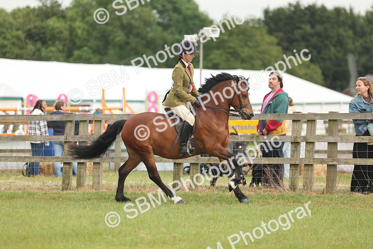 SBM_09132 - Class 78-80 - Ridden M&M Non Welsh Ponies