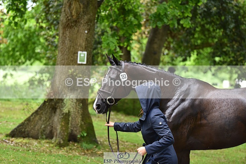 240522-154020-00516 - 353-BIKINI-Rose_De_Montmorency