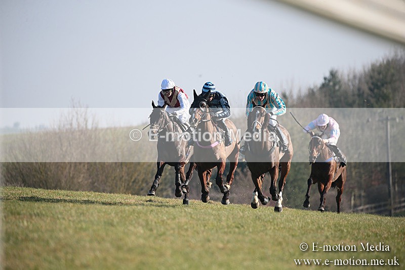 PtP 230219 441 - Vine & Craven Point-To-Point - Barbury 23/02/19