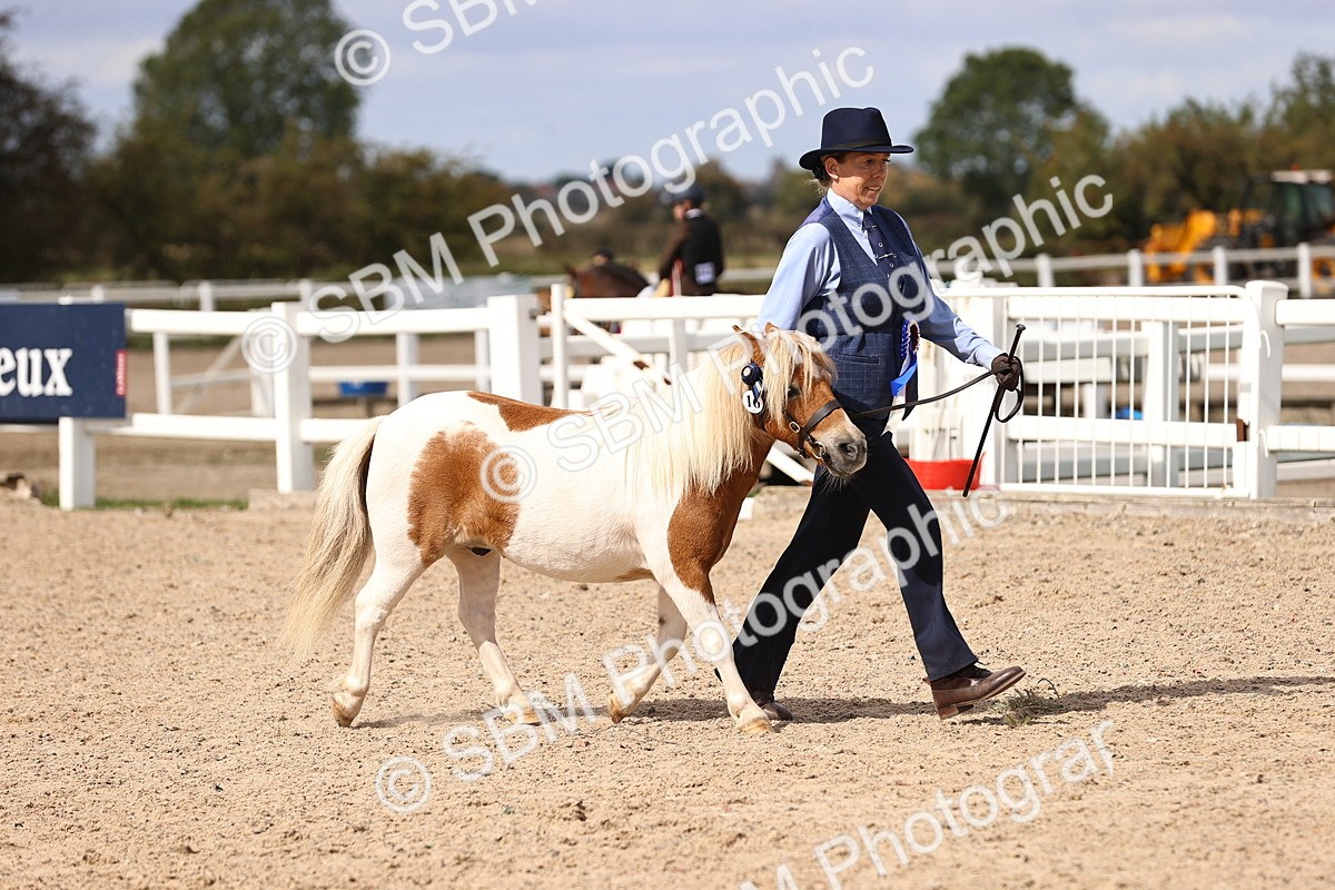 SBM_14237