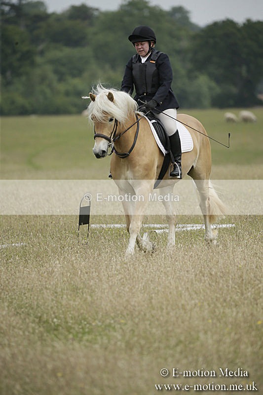 B230619-0416 - Bourne Valley Riding Club Summer Show 23/06/19