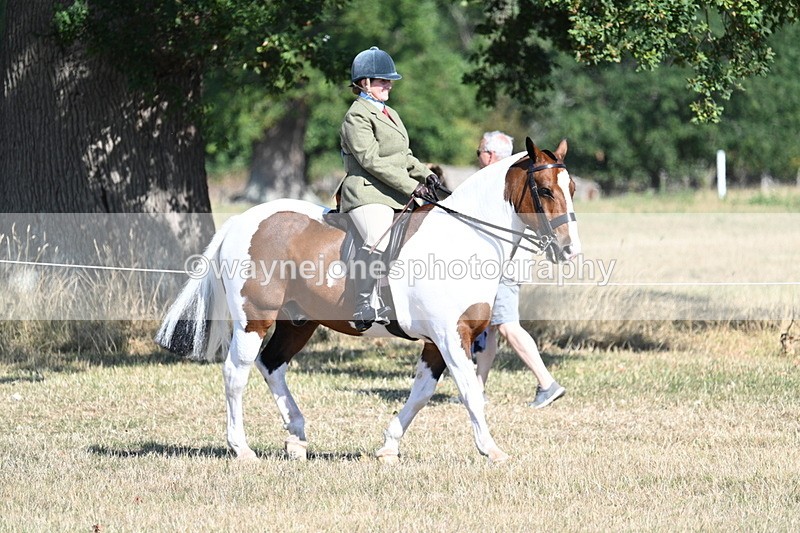 WJ7_3122 - Class 8 Ridden Tack & Turnout