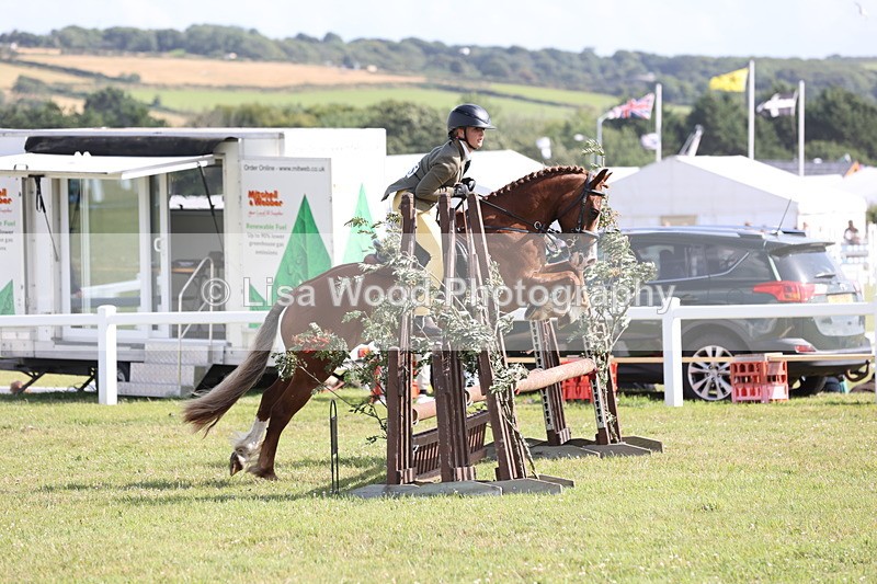 JPP_2767 - Class 20: Working Hunter 70cm