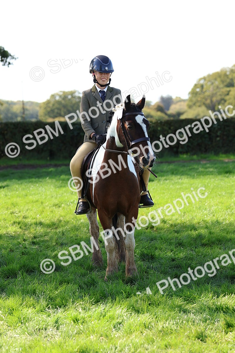 SBM_45270 - S27 - Young Veteran Ridden