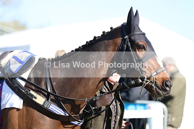 3E7A5592 - Race 6: Maiden (NWFAA)