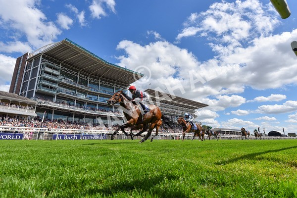 280625-Race 3-Squealer-5228 - Race 3 3.00pm Al Basti Equiworld Dubai Dash Handicap