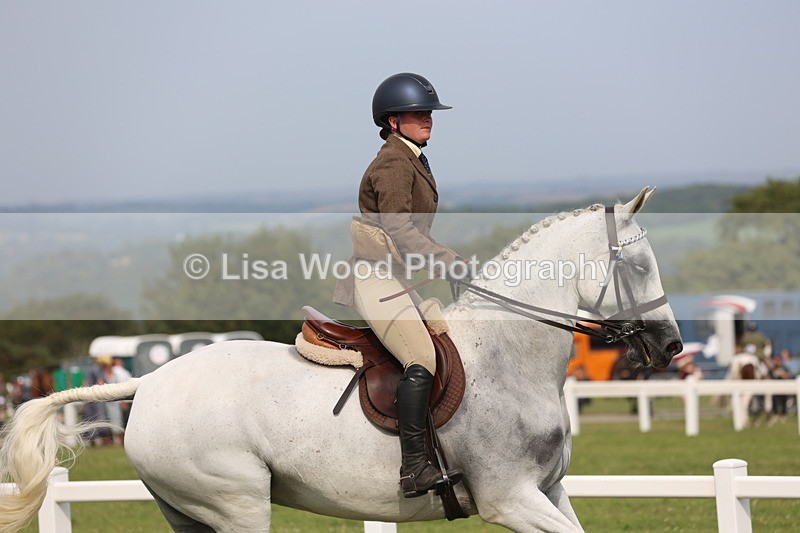 JPP_4243 - Class 25: Working Show Horse
