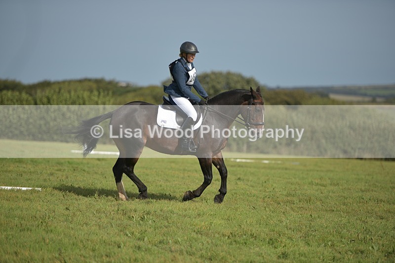 RAY_7823 - Class 2B: Trekenning Open: Dressage