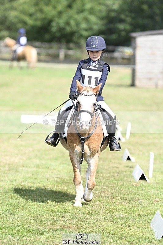 250821A-121057-15464 - DR 11.00 to 12.00