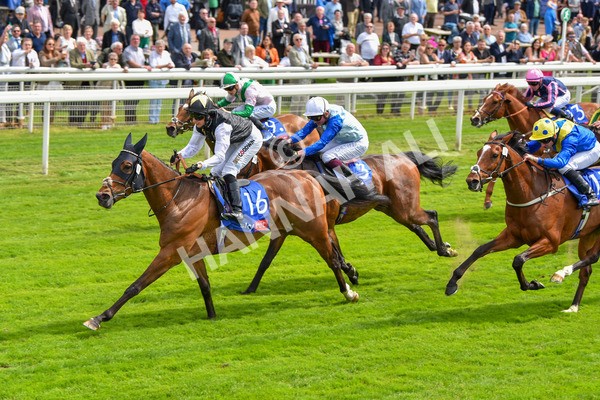 170523-Race 1-Scampi-8579 - Race 1 1.50pm Sky Bet Race To The Ebor Jorvik Handicap