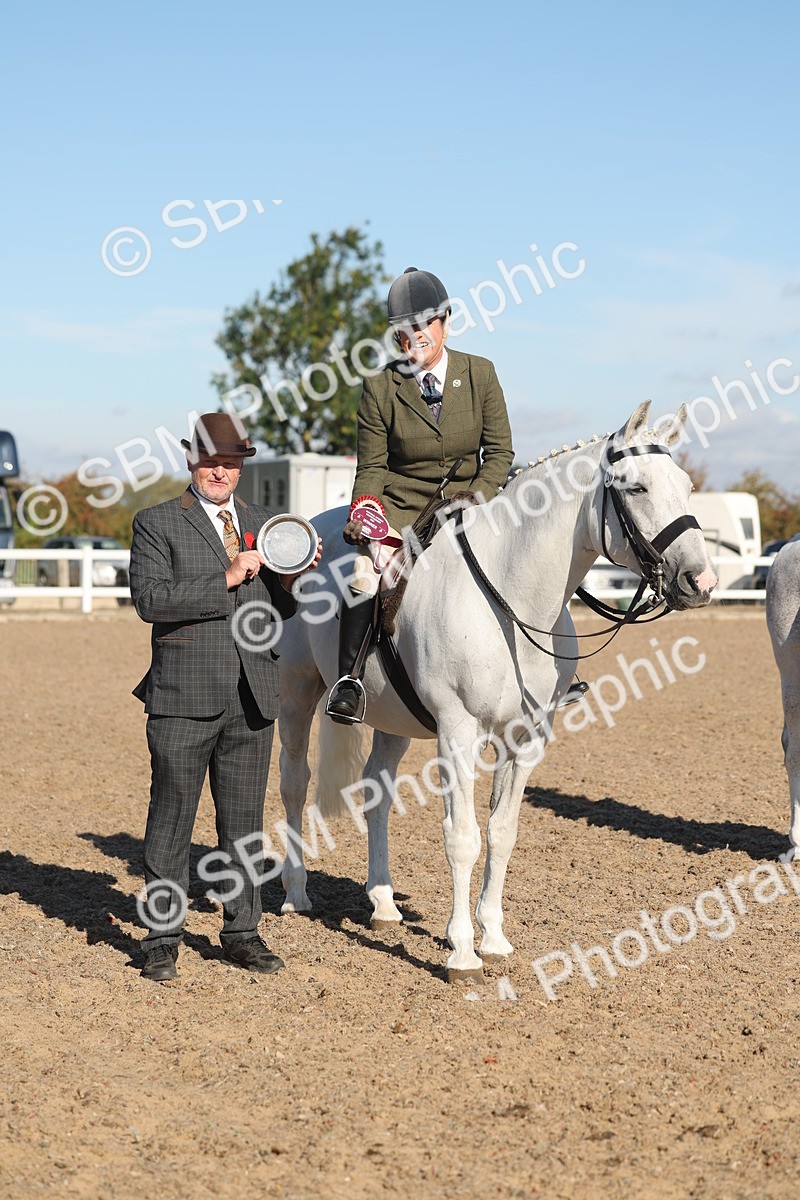SBM_12231 - Class 303 - Ridden Pure Bred Horse Pony