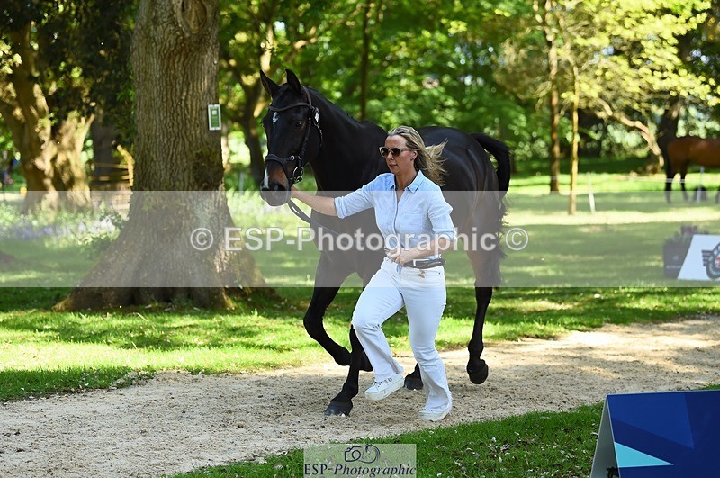 230524-152914-00301 - 351-TRINITY_CAVALIER-Henrietta_Horsley-gubbins-WEDTrotUp+DR