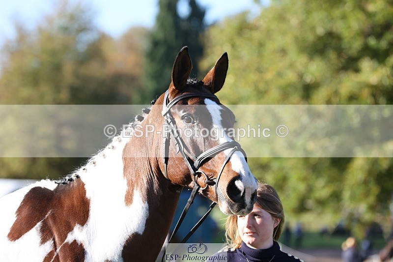 241027-095146-15544 - 331-Amber.Williams-COSMIC.MIKADO