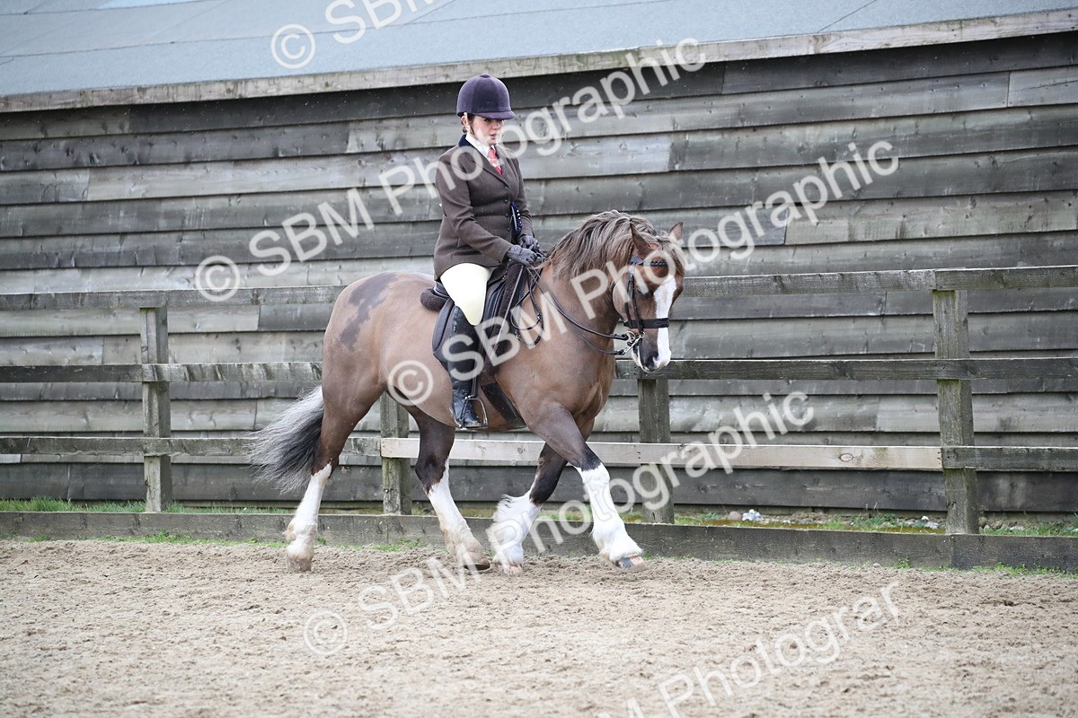 SBM_007333 - Class 10-13 - RIHS Small Large Breeds