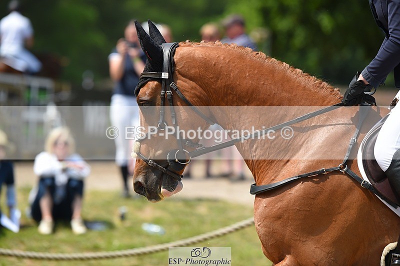 230528-122406-15680 - 378-CLASS_SPEC-Susie_Eddis-SUNTrotUp+SJ