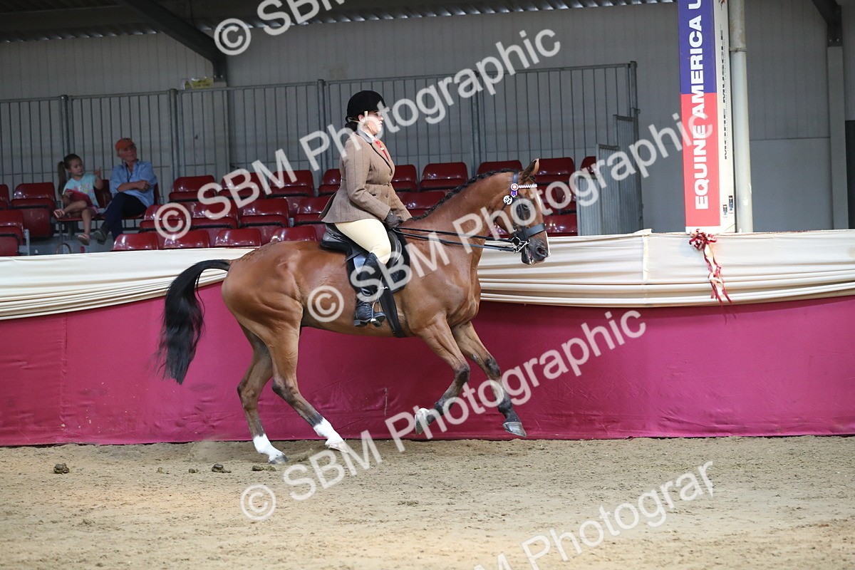 SBM_08319 - Class 11R Regional Ridden Veteran