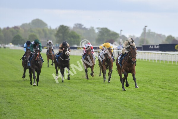 yr22052021r5-16 - Race 5 4.20pm William Hill EBF Novice Stakes (Plus 10 Race)
