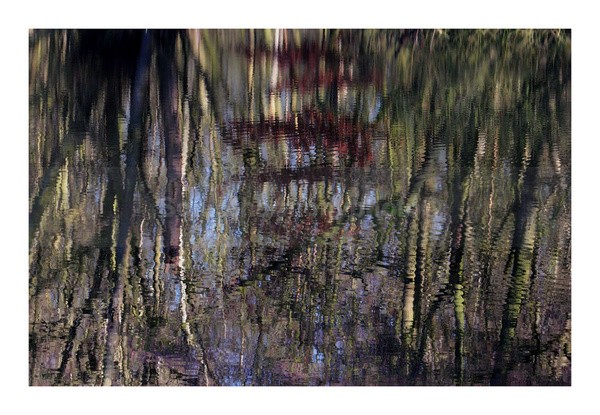 Silent Wilderness - Art And Nature