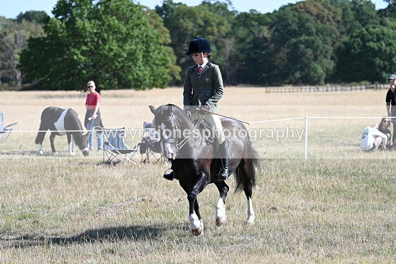 WJ7_3681 - Class 9 Mountain & Moorland Ridden