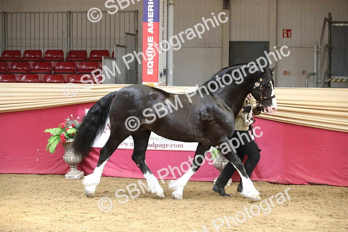 SBM_05459 - Class 8R - Regional IH Veteran