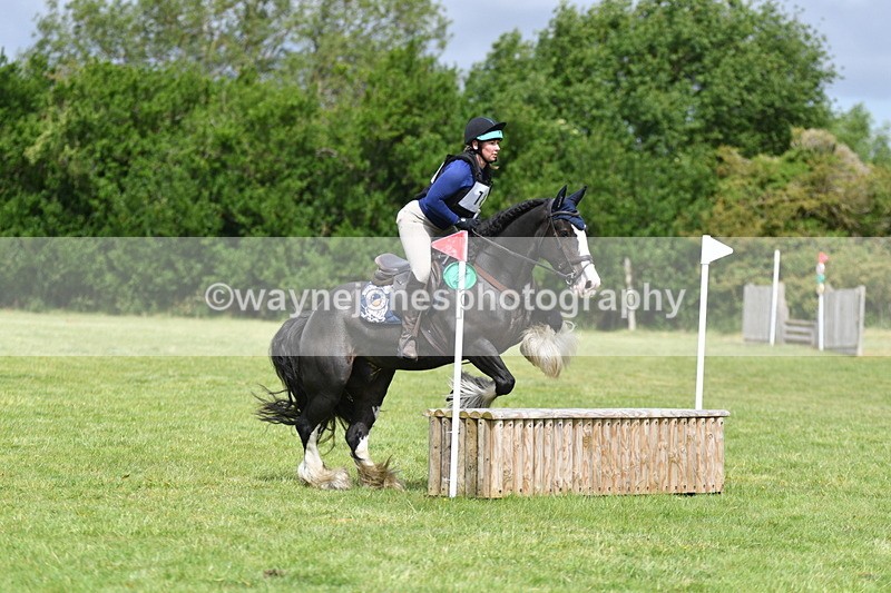 WJ5_2801 - Class 3 60cm Pairs