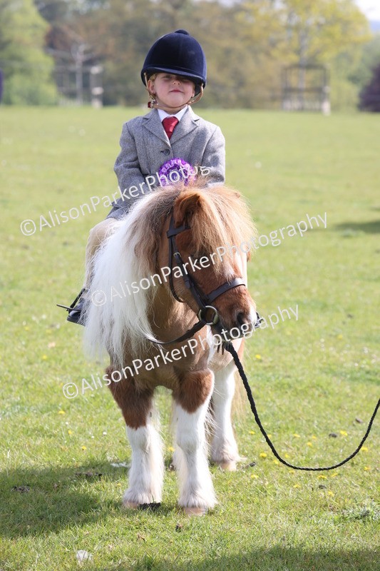 20260426-0520 - Class 30 - Tiny Tots Lead Rein