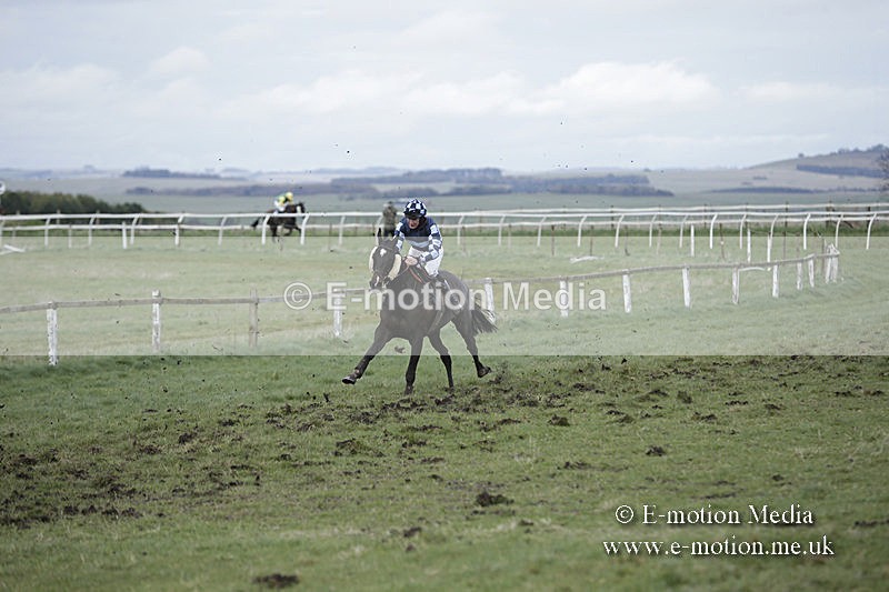 PtP 150320 0697 - New Forest Point-to-Point Larkhill 15/03/20
