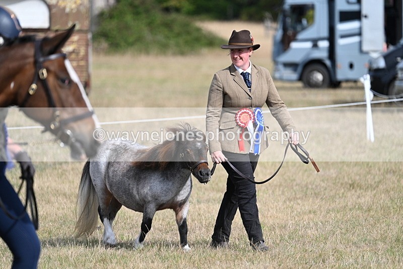 WJ7_8022 - In-hand Championship