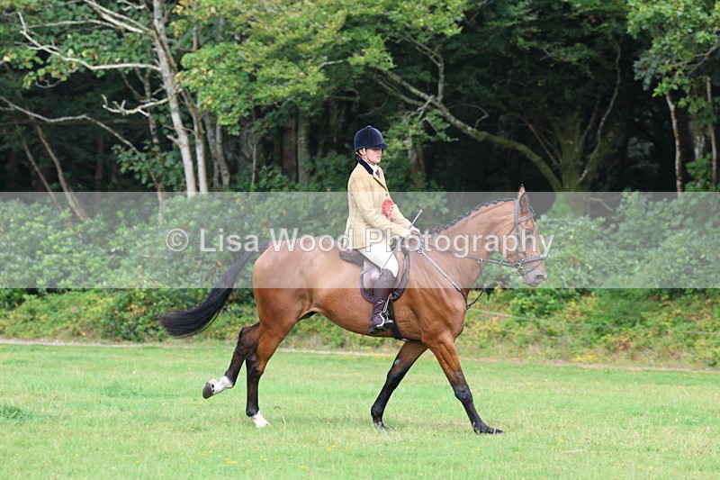 3E7A6085 - Working Hunter Championship