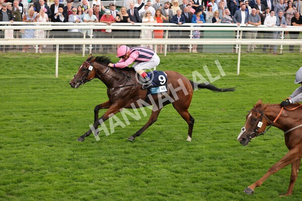 yr19082021r7-17 - Race 7 5.20pm British Stallion Studs EBF Fillies' Stakes