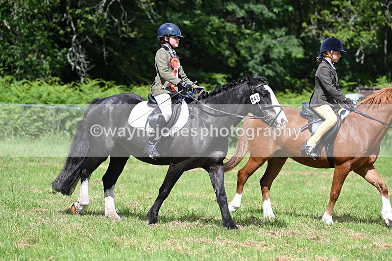 WJ7_1881 - Class 9 Pony Club Pony