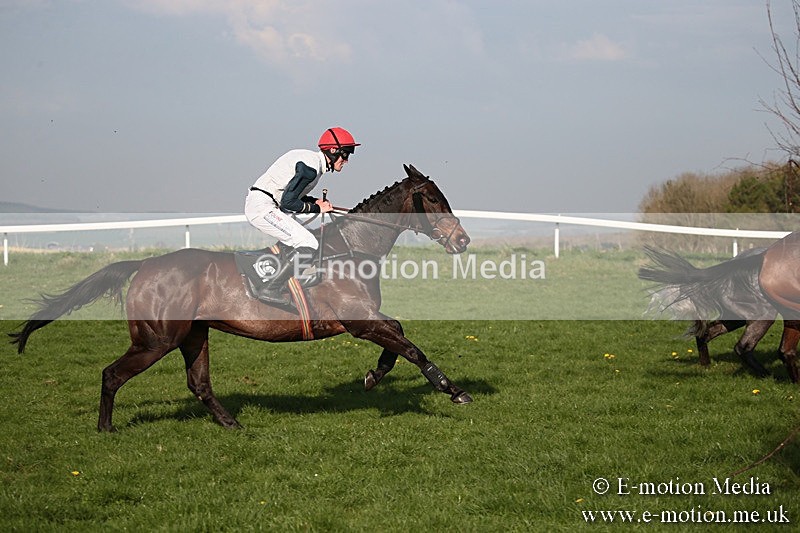 PtP 210418 624 - South & West Wilts Point-to-Point Larkhill 21/04/18